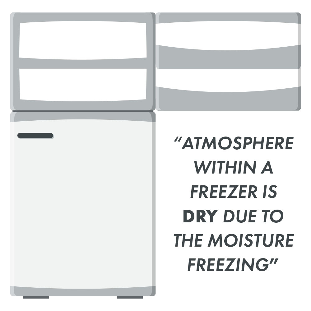 What is Freezer Burn - VacNews