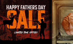 Happy Fathers Day Sale 2025 - VacNews