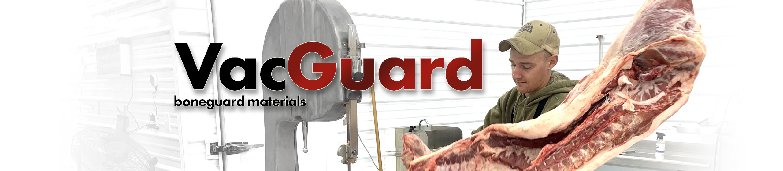 VacGuard Desktop Banner