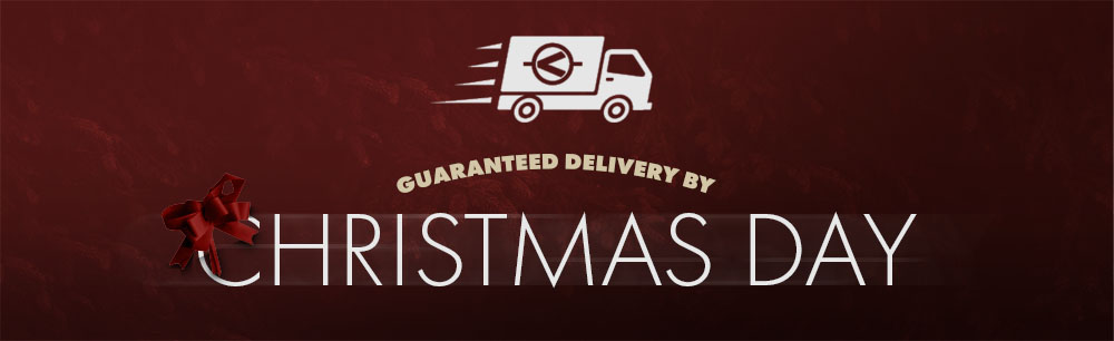 Guaranteed Delivery by Christmas for VacFriday 2026